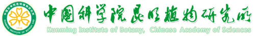 KIB Logo