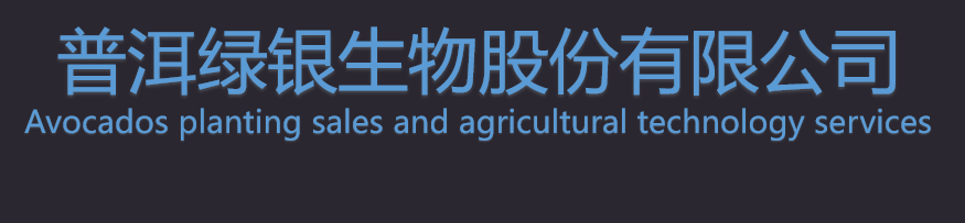 lvyin Logo